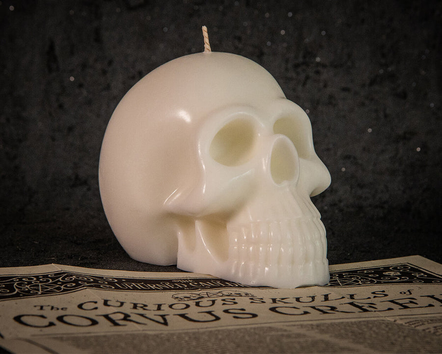 Skull candle collectors box set